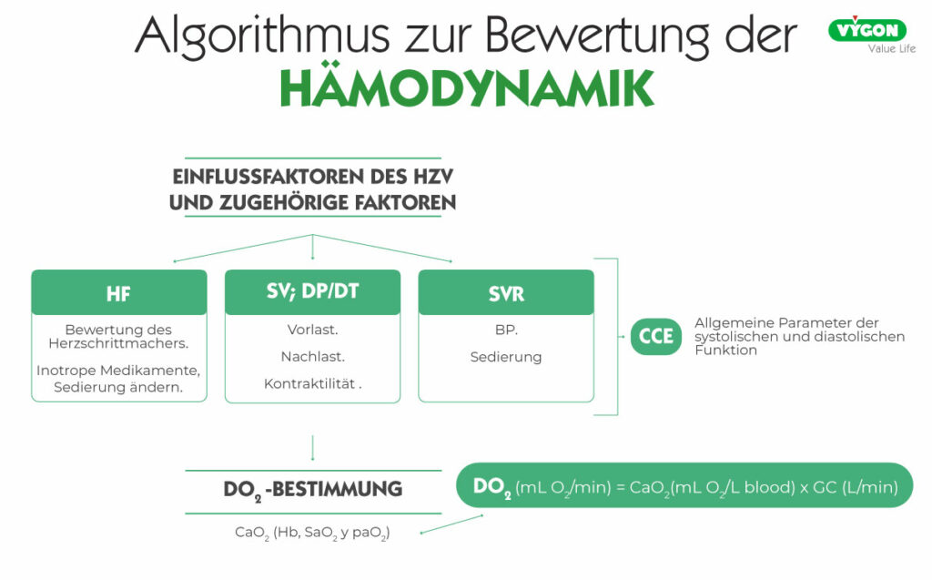 Algorithmus-Haemodynamik