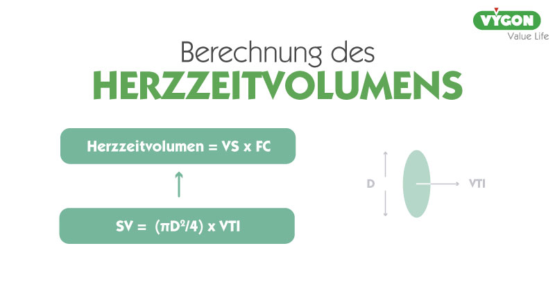 Berechnung-Herzzeitvolumen-1